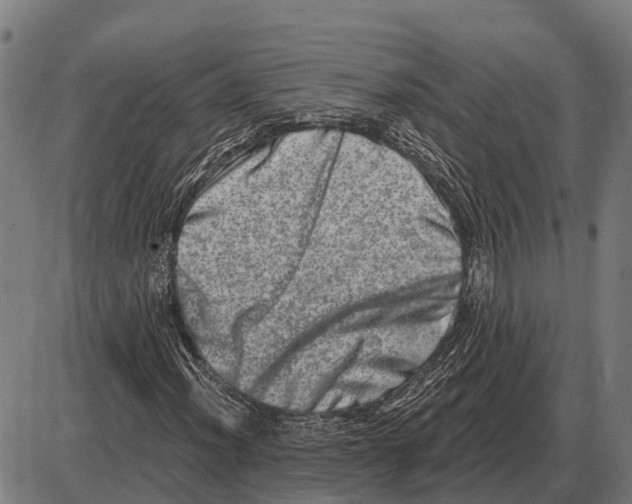 X0000085041012200703261306