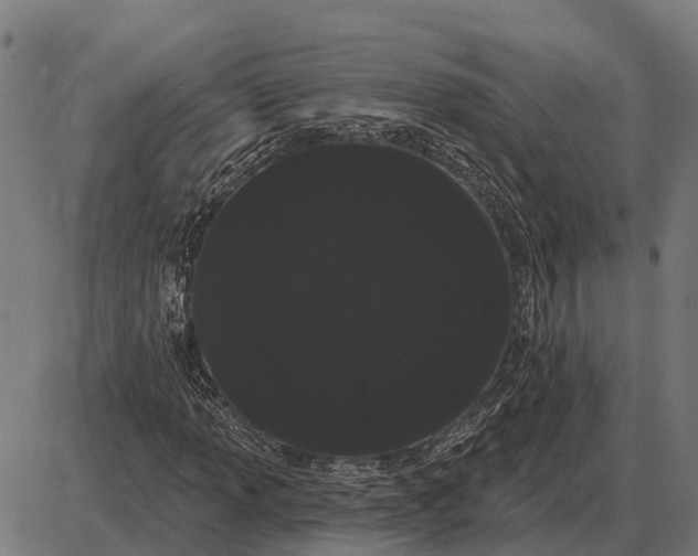 X0000085041013200703261306