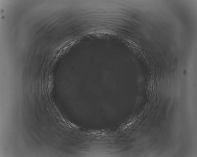 X0000085041014200703261306