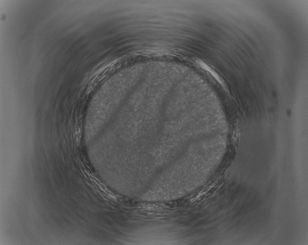 X0000085041015200703261306