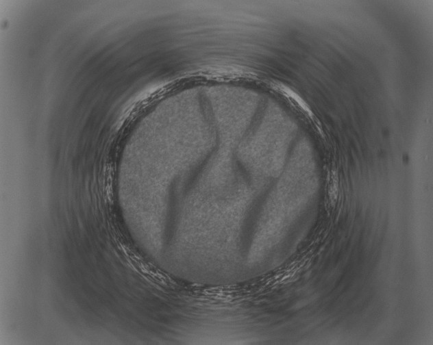 X0000085041016200703261306