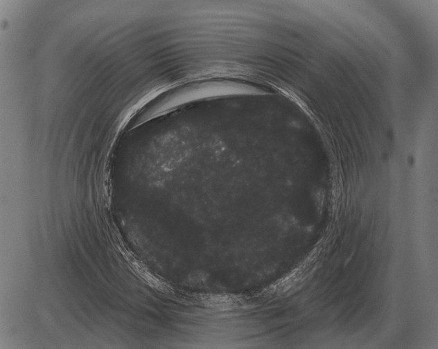 X0000085041018200703261306