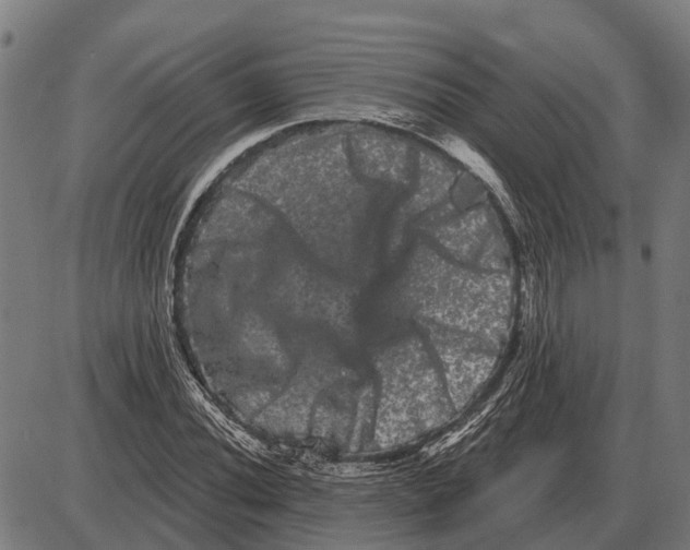 X0000085041020200703261306