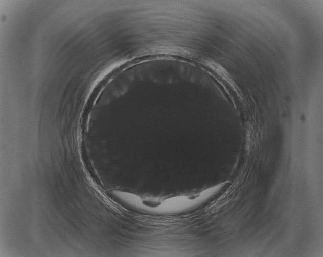 X0000085041024200703261306