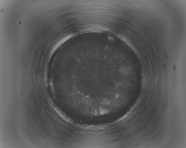 X0000085041026200703261306