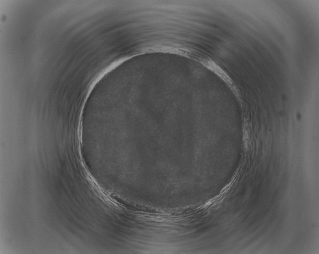 X0000085041028200703261306