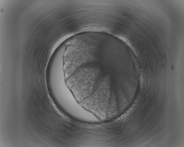 X0000085041030200703261306