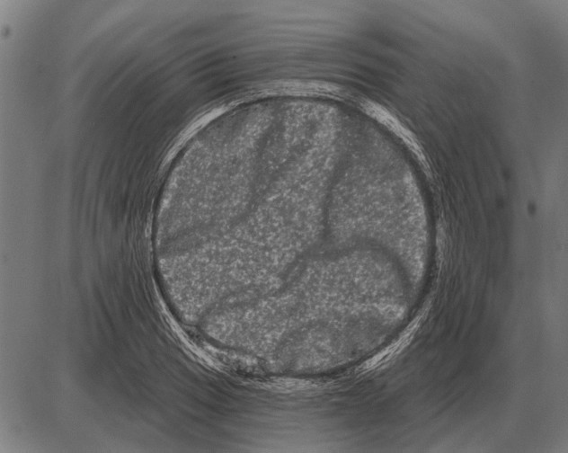 X0000085041033200703261307