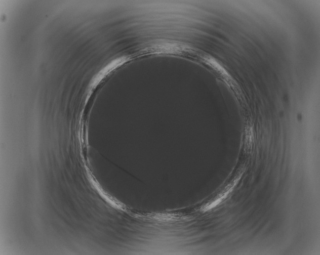 X0000085041034200703261307