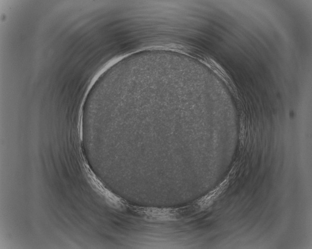 X0000085041036200703261307