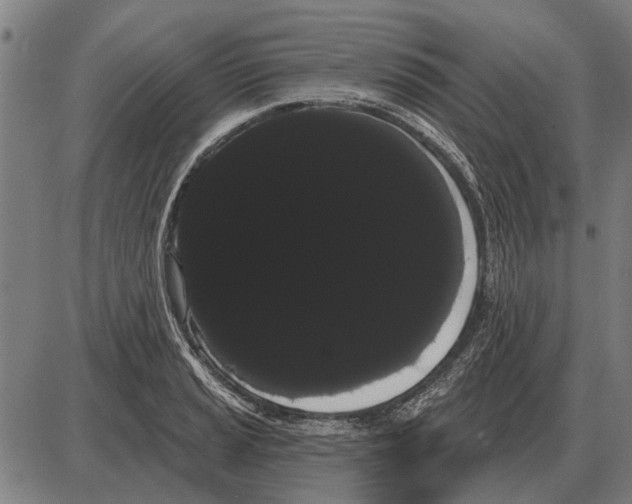 X0000085041037200703261307