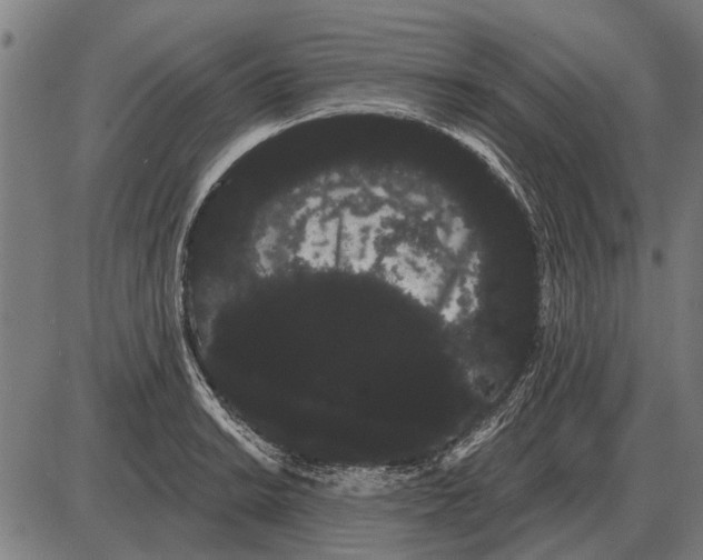 X0000085041038200703261307