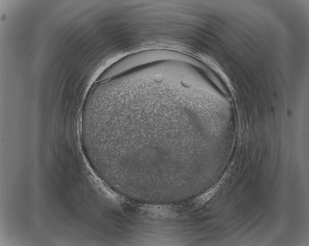 X0000085041040200703261307