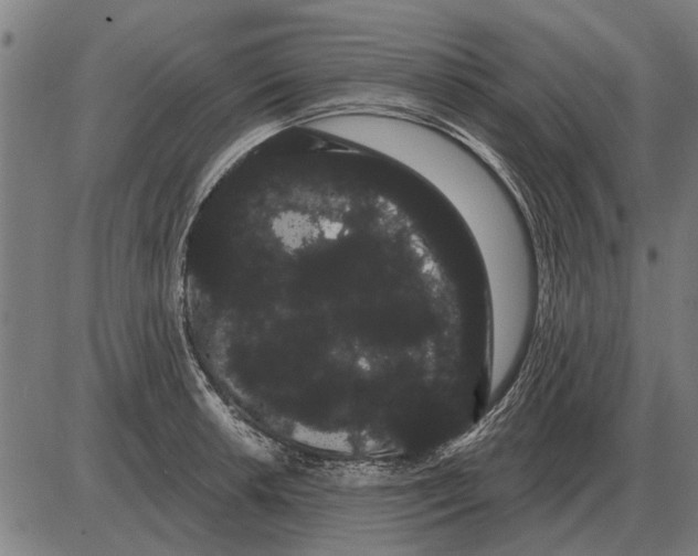 X0000085041042200703261307