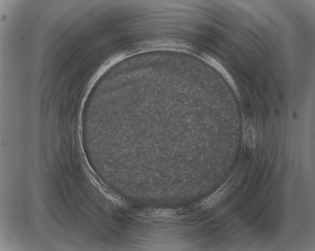 X0000085041043200703261307