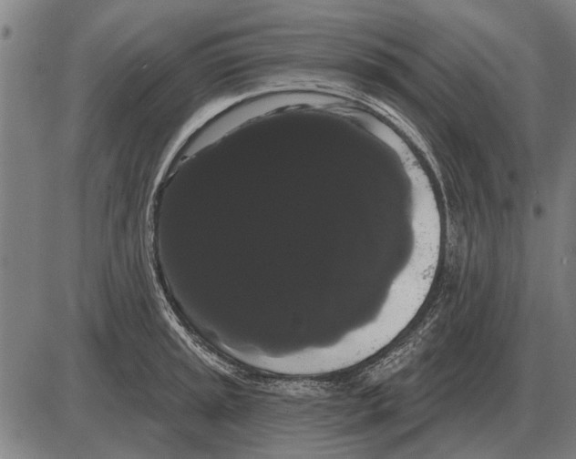 X0000085041045200703261307