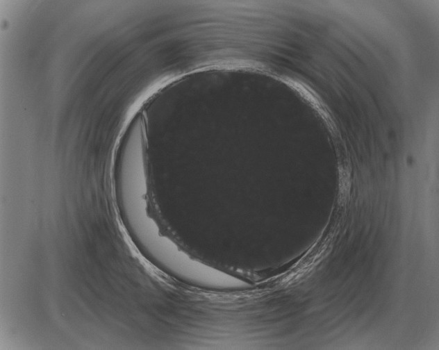 X0000085041046200703261307