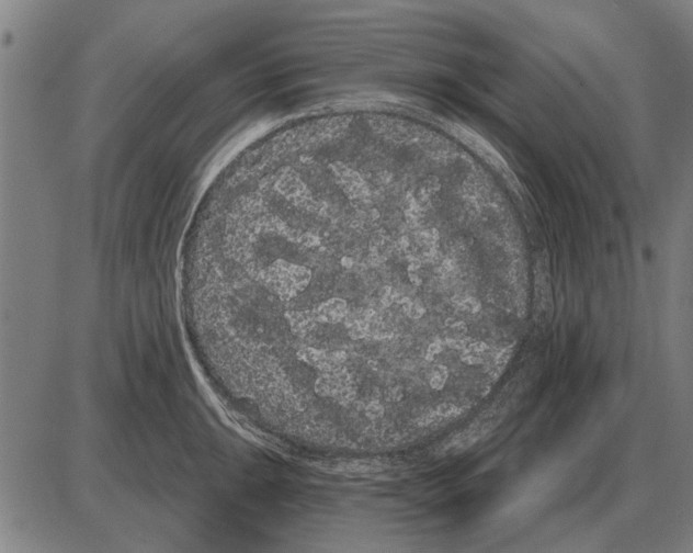 X0000085041047200703261307