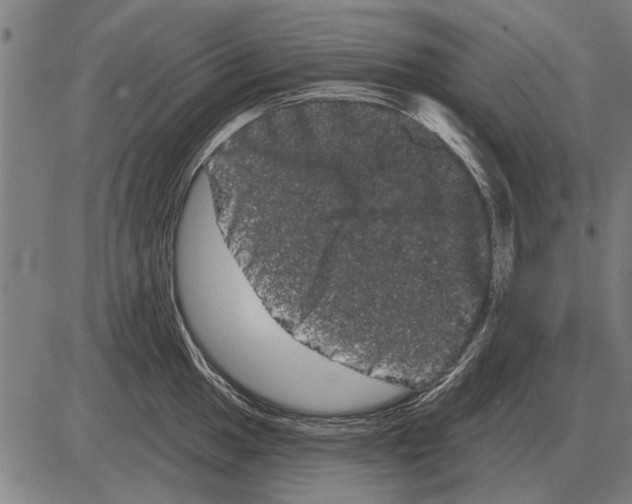 X0000085041049200703261307