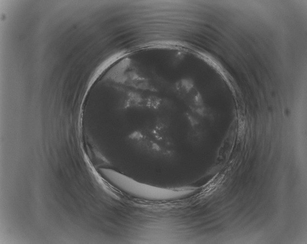 X0000085041050200703261307