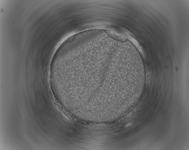 X0000085041051200703261307