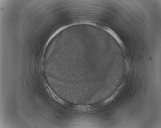 X0000085041052200703261307