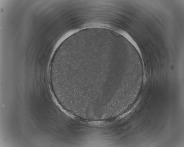 X0000085041053200703261307