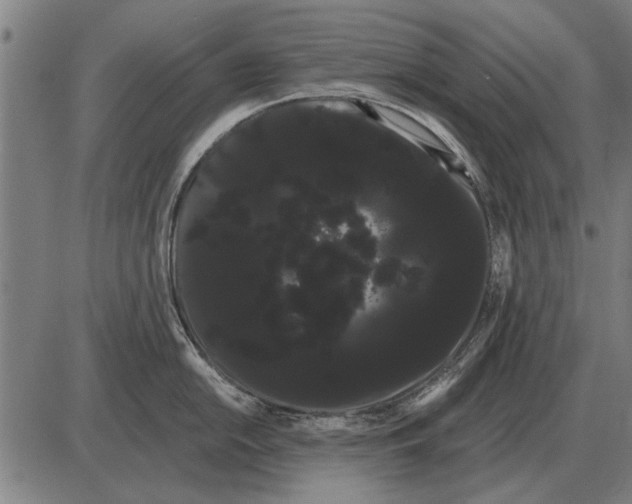 X0000085041054200703261307