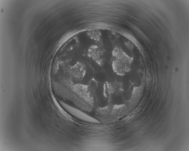 X0000085041055200703261307