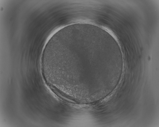 X0000085041056200703261307