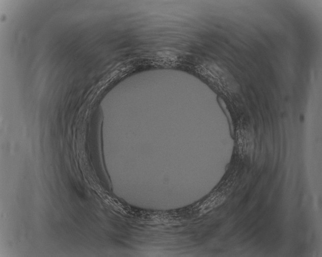 X0000085041057200703261306