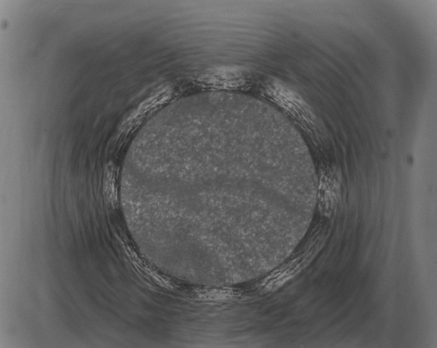 X0000085041058200703261306