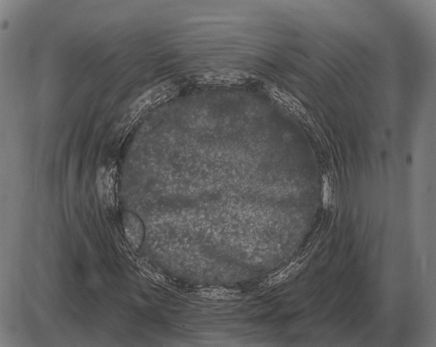 X0000085041059200703261306