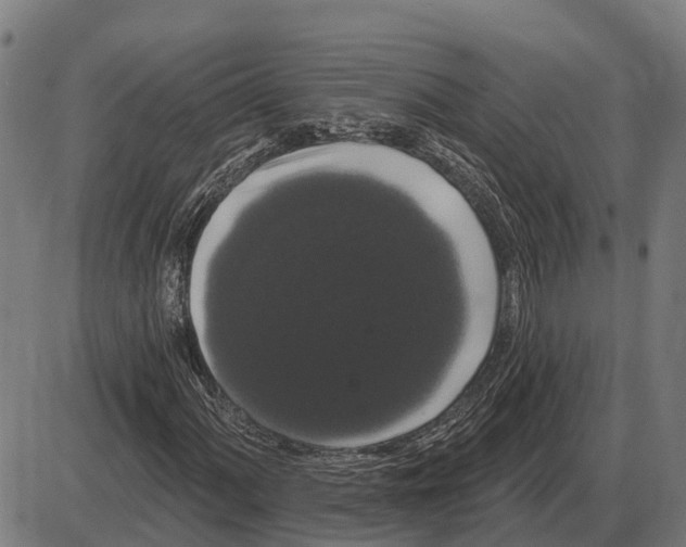 X0000085041060200703261306