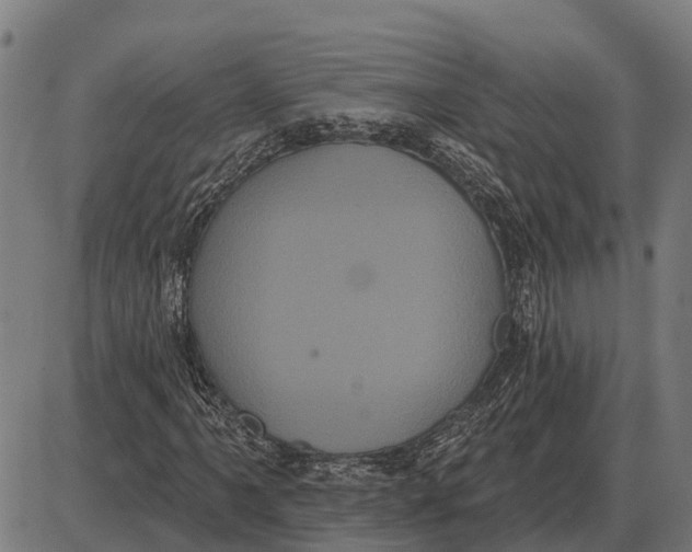 X0000085041061200703261306