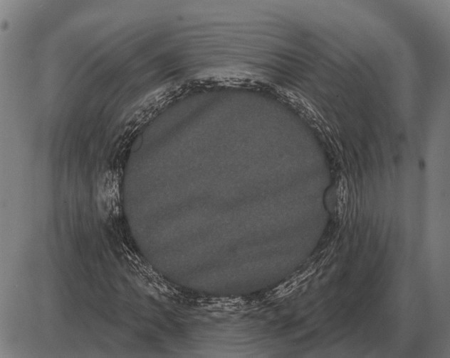 X0000085041062200703261306