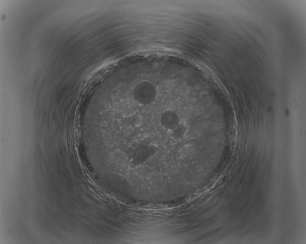 X0000085041063200703261306