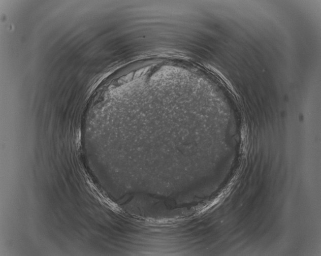 X0000085041065200703261306