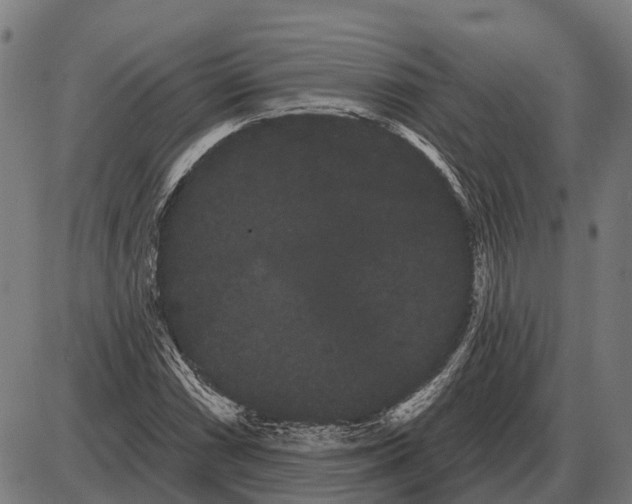 X0000085041066200703261306