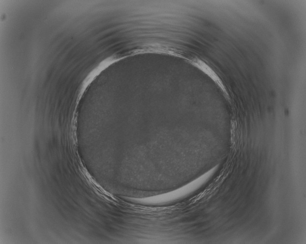 X0000085041068200703261306