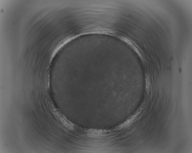 X0000085041069200703261306