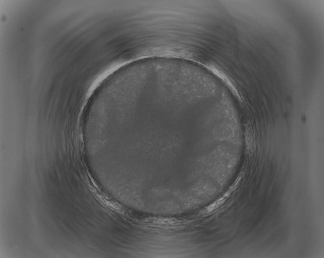 X0000085041070200703261306