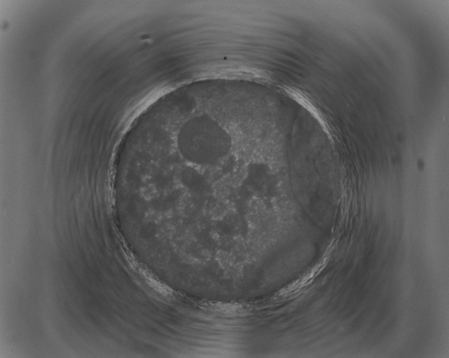 X0000085041071200703261306