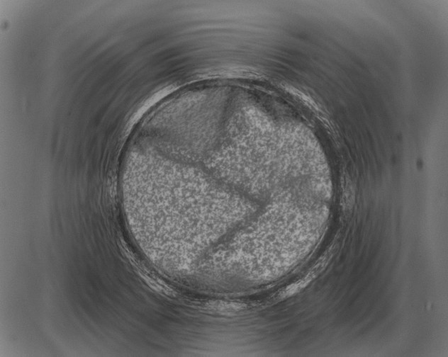 X0000085041073200703261306