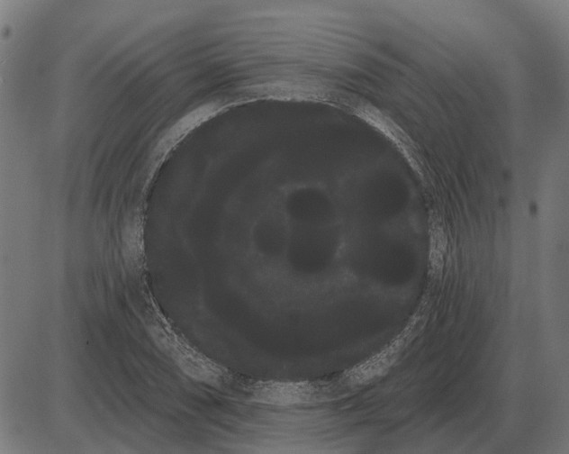 X0000085041074200703261306