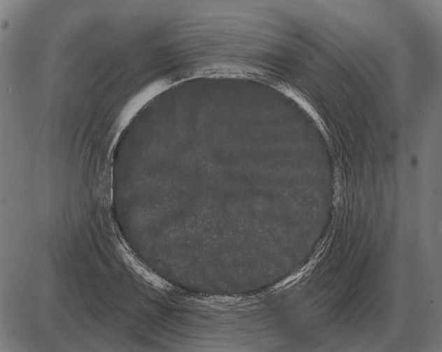 X0000085041075200703261306