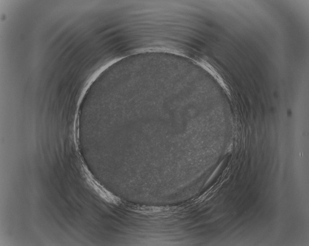 X0000085041076200703261306