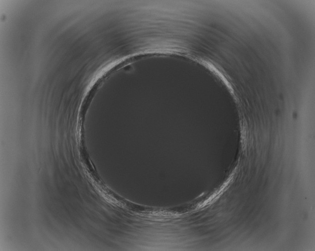 X0000085041077200703261306