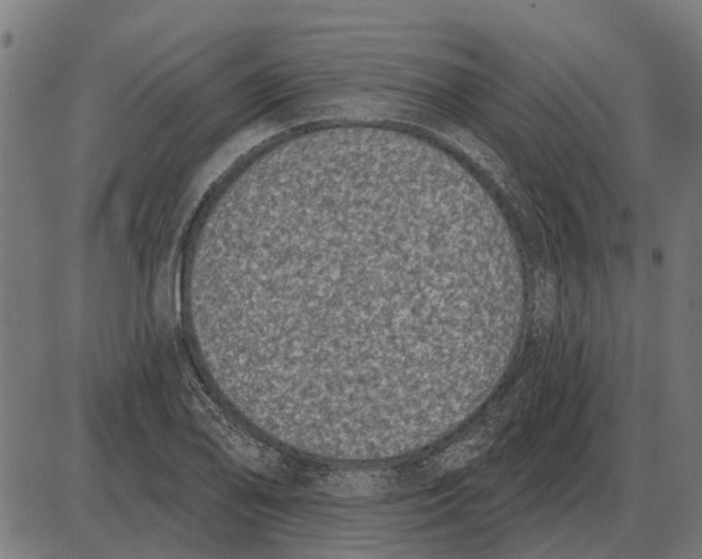 X0000085041078200703261306