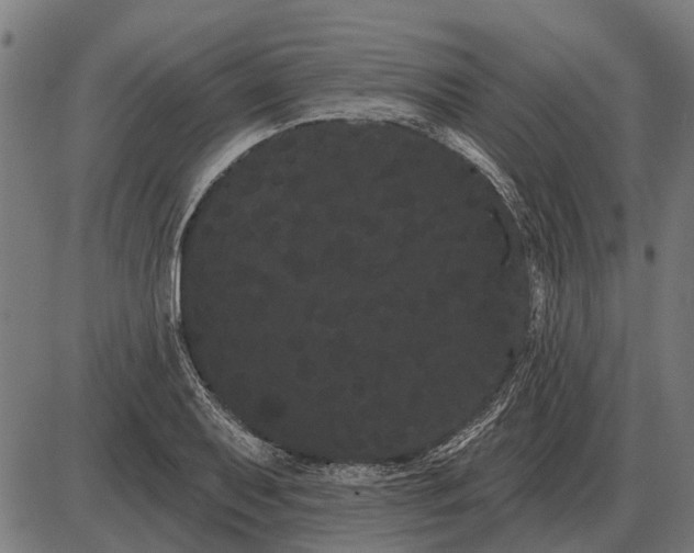 X0000085041079200703261306